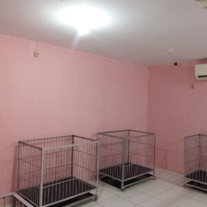 WhatsApp Image 2025-07-17 at 09.35.59_c681c331