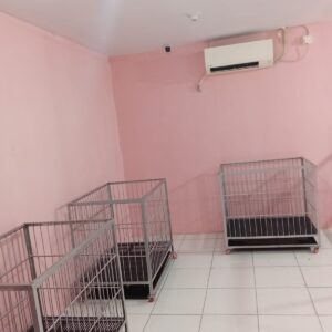 WhatsApp Image 2025-07-17 at 09.36.00_8cb83626