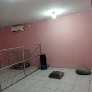 WhatsApp Image 2025-07-17 at 09.36.00_a4d9eab1