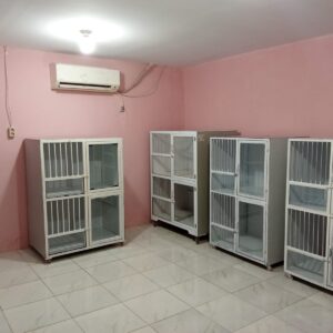 WhatsApp Image 2025-07-17 at 09.37.20_f7901a3b