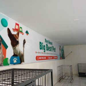 WhatsApp Image 2025-07-17 at 10.08.39_2f883d62