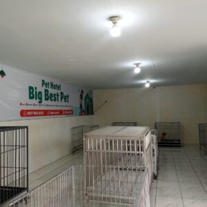 WhatsApp Image 2025-07-17 at 10.08.40_92505d34