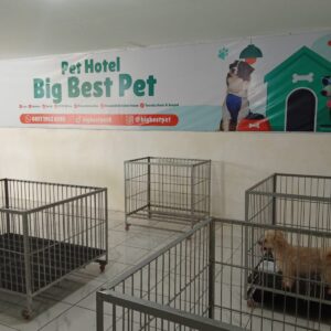 WhatsApp Image 2025-07-17 at 10.08.40_a1a049a9