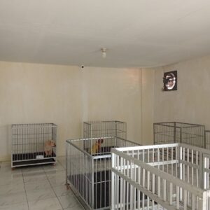 WhatsApp Image 2025-07-17 at 10.08.41_ede938b4