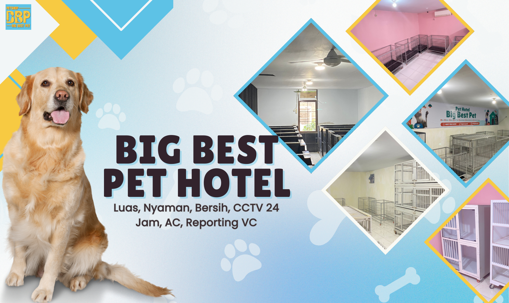 Big Best Pet HOTEL (3)