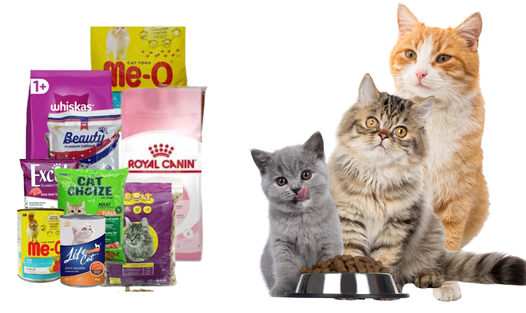 Untitled design (64)